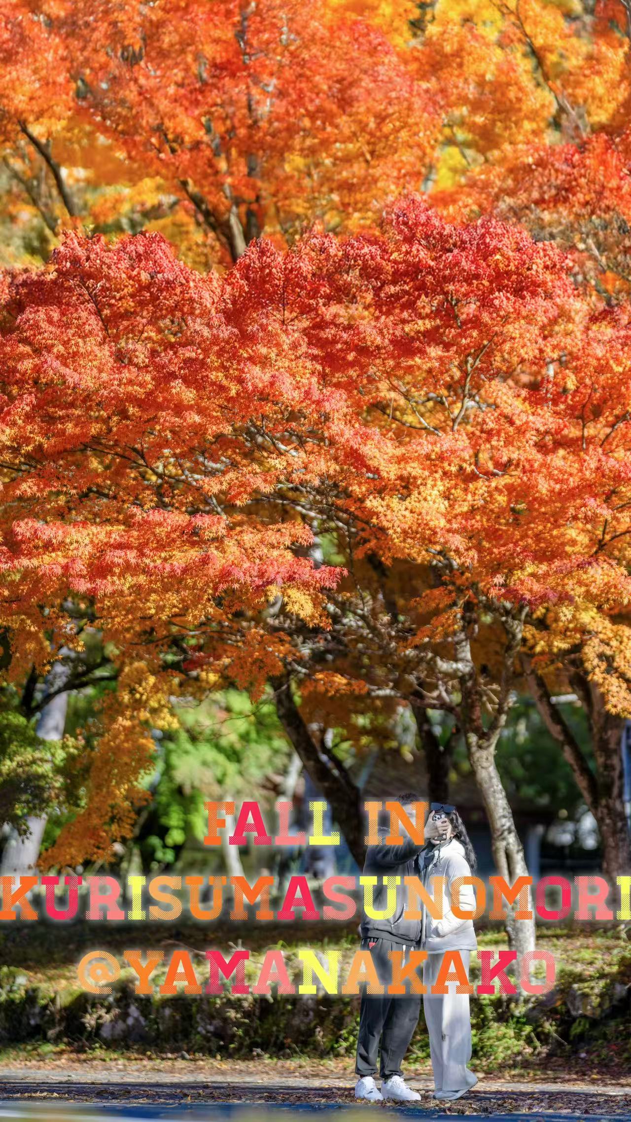 山中湖2025年11月